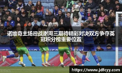 IM电竞官网入口