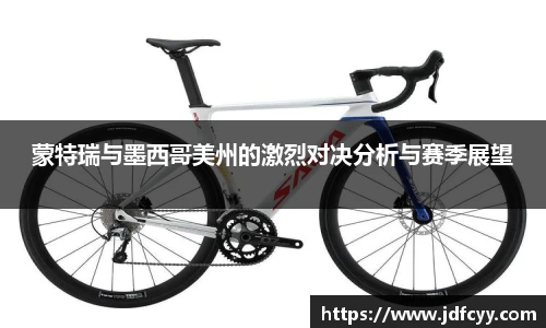 IM电竞官网入口