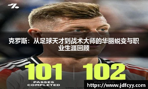 IM电竞官网入口